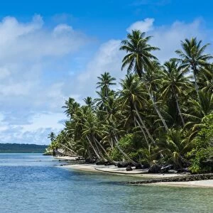 Beautiful white sand beach and palm trees on the island of Yap, Federated States of Micronesia, Caroline Islands, Pacific