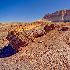 A Bentonite formation in Petrified Forest National Park near Crystal Forest called