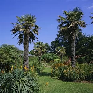 Botanic Gardens, Ventnor, Isle of Wight, England, UK, Europe