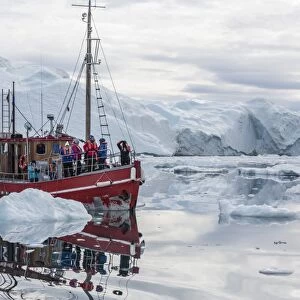 A commercial iceberg tour amongst huge icebergs calved from the Ilulissat Glacier, UNESCO World Heritage Site, Ilulissat, Greenland, Polar Regions