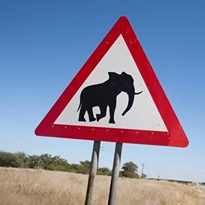 Elephant road sign, Damaraland, Kunene region, Namibia, Africa