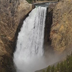 Elevated view of Lower Falls and viewing platform with visitors, Yellowstone National Park, UNESCO World Heritage Site, Wyoming, United States of America, North America