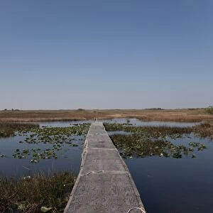 Everglades National Park, UNESCO World Heritage Site, Florida, United States of America