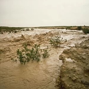 Flash flood in oued (river bed) in normally dry Algerian Sahara region