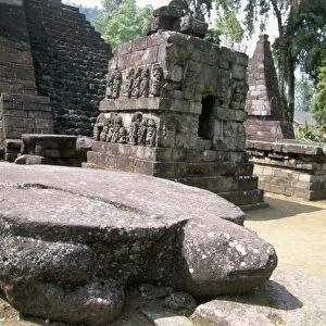 Flat backed turtle dias in front of main temple of Candi Sukuh