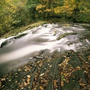 Force Falls in autumn, Ruscand Valley, Lake District National Park, Cumbria
