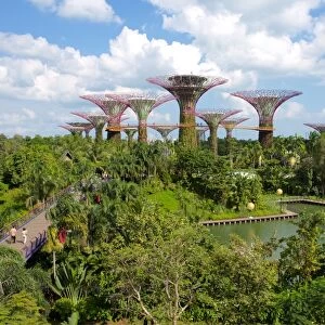 Gardens by the Bay, Singapore, Southeast Asia