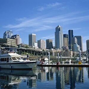 The harbour and city skyline