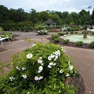 Harry P. Leu Gardens, Orlando, Florida, United States of America, North America