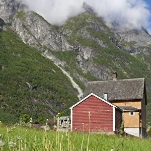 House and field with dandelions, backed by mountains, Eidfjord, Hardangerfjord, Norway, Scandinavia, Europe