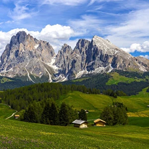 Huts in the flowering spring meadows of Seiser Alm with Sassolungo and Sassopiatto in background, Dolomites, South Tyrol, Italy, Europe