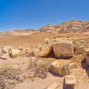 Large pieces of petrified wood on the west side of Red Basin in Petrified Forest National