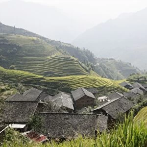 Longsheng terraced ricefields, Guilin, Guangxi Province, China, Asia