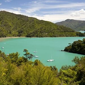 Ngakuta Bay, Queen Charlotte Sound, near Picton, Marlborough Region, South Island, New Zealand, Pacific