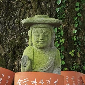 Offerings, Gwaneumsa Temple, Jeju Island, South Korea, Asia