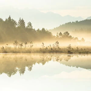 Panoramic of trees mirrored in Pian di Gembro Nature Reserve during a misty sunrise