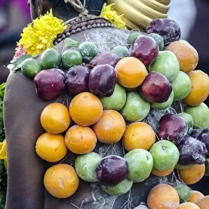 A pierced devotee laden with fruit, during Thaipusam festival, Batu Caves, Kuala Lumpur, Malaysia, Southeast Asia, Asia