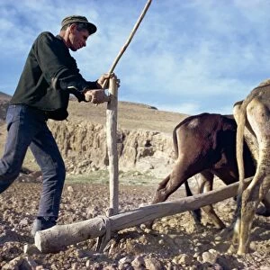 Qashqai man ploughing