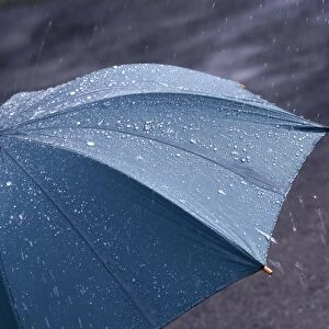 Rain falling on an umbrella