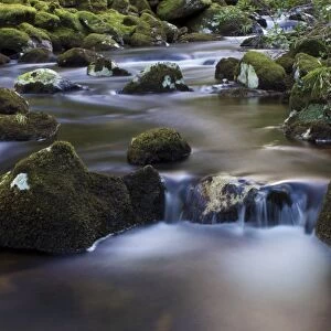 River Teign, Dartmoor National Park, Devon, England, United Kingdom, Europe