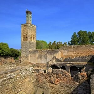 The ruins of Chellah with minaret, Rabat, Morocco, North Africa, Africa