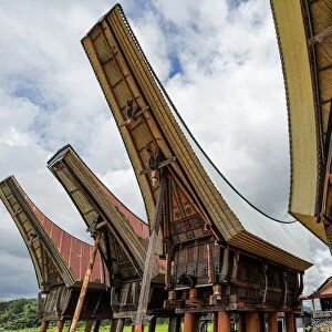 Saddleback roof tongkonans (family rice barns) (homes), Parinding, north of Rantepao, Parinding, Toraja, South Sulawesi, Indonesia, Southeast Asia, Asia