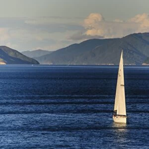 Sailing boat in the fjords around Picton, Marlborough Region, South Island, New Zealand, Pacific