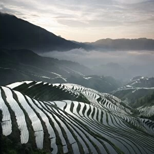 Sunrise in June, Longsheng terraced ricefields, Guangxi Province, China, Asia