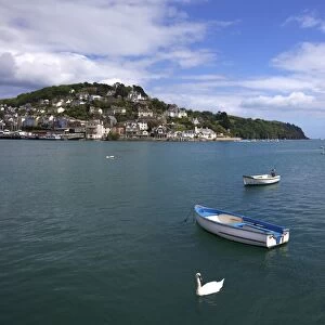 Swan and boats in the River Dart estuary in Dartmouth, Devon, England, United Kingdom