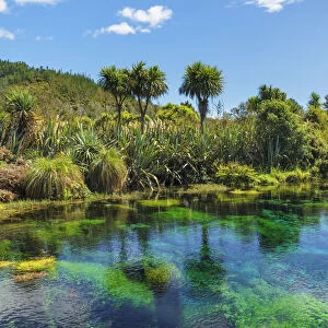 Te Waikoropupu Springs (Pupu Springs), Spring sacred to the Maoris, Golden Bay, Tasman