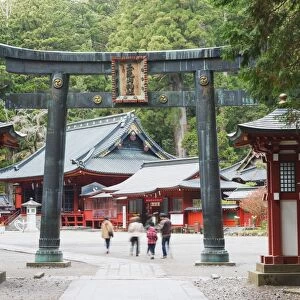 Torii gate, Nikko shrine, UNESCO World Heritage Site, Tochigi Prefecture, Honshu, Japan, Asia