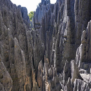 Tsingy de Bemaraha National Park, UNESCO World Heritage Site, Melaky Region, Western