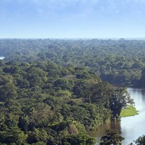 View of rainforest and rivers in Tortuguero National Park, Limon, Costa Rica, Central
