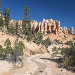 View to typical rock hoodoos from the Mossy Cave Trail, Water Canyon