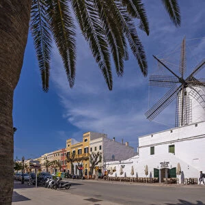 View of windmill and restaurant in historic centre, Ciutadella, Menorca, Balearic Islands, Spain, Mediterranean, Europe