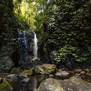 Waterfall at Lamington National Park, Queensland, Australia, Pacific