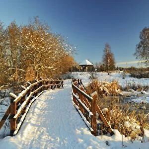 Winter scene, Schwenninger Moos nature reserve, Villingen-Schwenningen, Baden-Wurttemberg, Germany, Europe