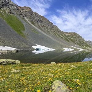 Yellow flowers frame the rocky peaks reflected in Lake Schottensee, Fluela Pass canton