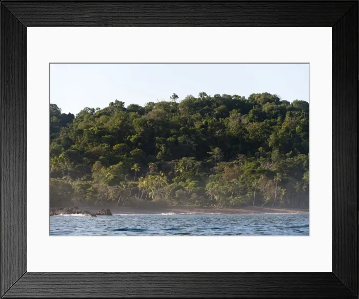 Framed Print : Corcovado National Park, Osa Peninsula, Costa Rica, Central America
