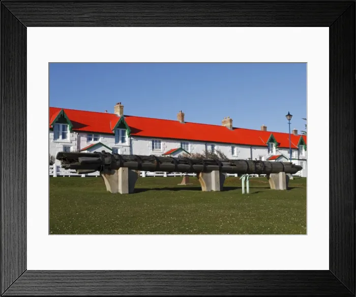 Framed Print : SS Great Britain mizzen mast, Victory Green, Stanley, East Falkland, Falkland Islands, South America Framed Print : SS Great Britain mizzen mast, Victory Green, Stanley, East Falkland, Falkland Islands, South America