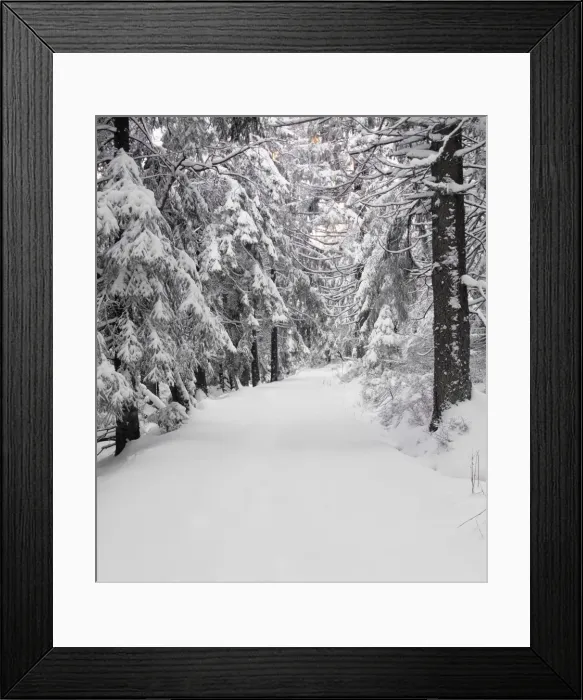 Framed Print : Path through a forest in winter, Nature Reserve, Kaltenbronn, Gernsbach, Black Forest, Baden Wurttemberg, Germany, Europe Framed Print : Path through a forest in winter, Nature Reserve, Kaltenbronn, Gernsbach, Black Forest, Baden Wurttemberg, Germany, Europe