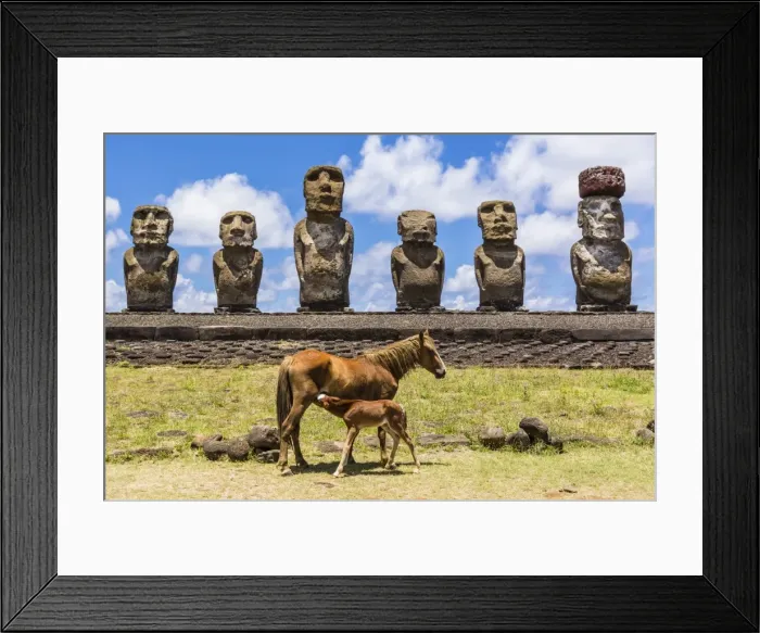 Framed Print : Mare nursing foal at the 15 moai restored ceremonial site of Ahu Tongariki on Easter Island (Isla de Pascua) (Rapa Nui), UNESCO World Heritage Site, Chile, South America Framed Print : Mare nursing foal at the 15 moai restored ceremonial site of Ahu Tongariki on Easter Island (Isla de Pascua) (Rapa Nui), UNESCO World Heritage Site, Chile, South America