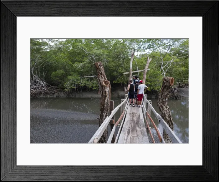 Framed Print : Curu Wildlife Reserve, Costa Rica, Central America Framed Print : Curu Wildlife Reserve, Costa Rica, Central America