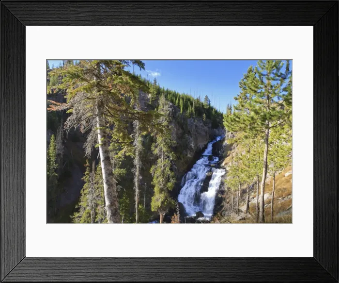 Framed Print : Pines at Mystic Falls, near Biscuit Basin, Yellowstone National Park, UNESCO World Heritage Site, Wyoming, United States of America, North America Framed Print : Pines at Mystic Falls, near Biscuit Basin, Yellowstone National Park, UNESCO World Heritage Site, Wyoming, United States of America, North America
