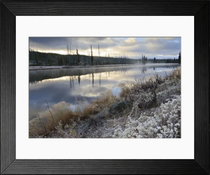 Framed Print : Regenerating trees reflected in a frosty and misty Lewis River, Yellowstone National Park, UNESCO World Heritage Site, Wyoming, United States of America, North America Framed Print : Regenerating trees reflected in a frosty and misty Lewis River, Yellowstone National Park, UNESCO World Heritage Site, Wyoming, United States of America, North America