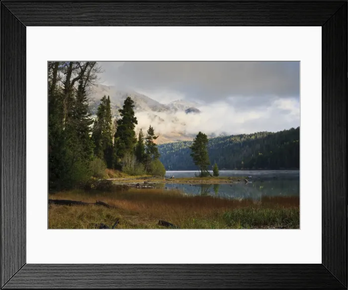 Framed Print : Pines, low clouds and mountains, autumn (fall) at Phelps Lake, Grand Teton National Park, Wyoming, United States of America, North America