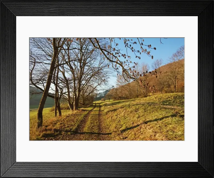 Framed Print : Country road, Swabian Alb, Baden-Wurttemberg, Germany, Europe Framed Print : Country road, Swabian Alb, Baden-Wurttemberg, Germany, Europe