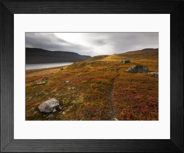 Framed Print : West Fjords, Iceland, Polar Regions Framed Print : West Fjords, Iceland, Polar Regions
