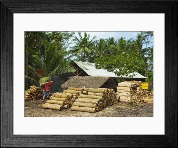 Framed Print : Sawn tree trunks at lumber yard in this rural district near Pangandaran on the south coast, Cijulang, West Java, Java, Indonesia, Southeast Asia, Asia Framed Print : Sawn tree trunks at lumber yard in this rural district near Pangandaran on the south coast, Cijulang, West Java, Java, Indonesia, Southeast Asia, Asia