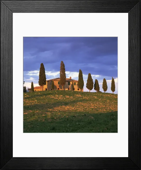 Framed Print : Farmhouse and trees near Pienza, Siena Province, Tuscany, Italy, Europe